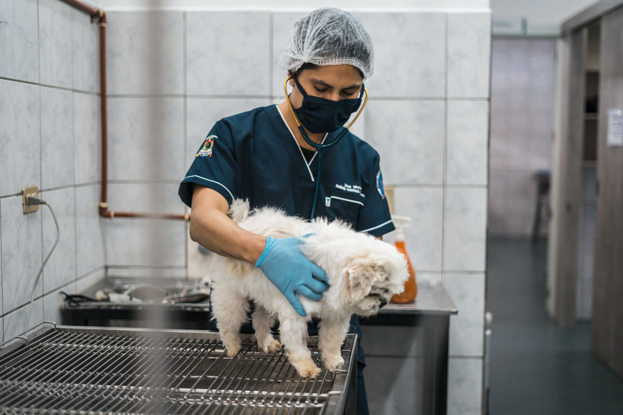 Medicina Veterinaria UCUENCA