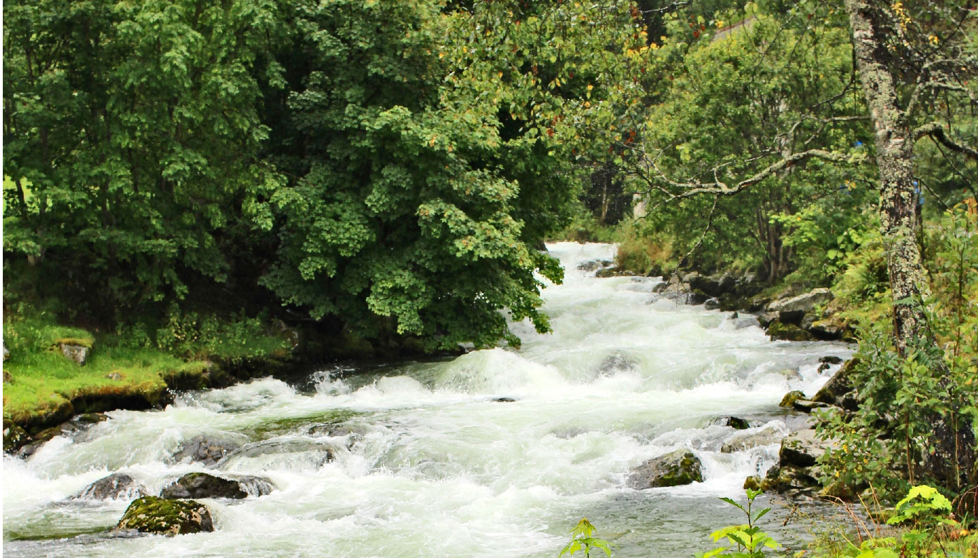 Imagen de cita por defecto