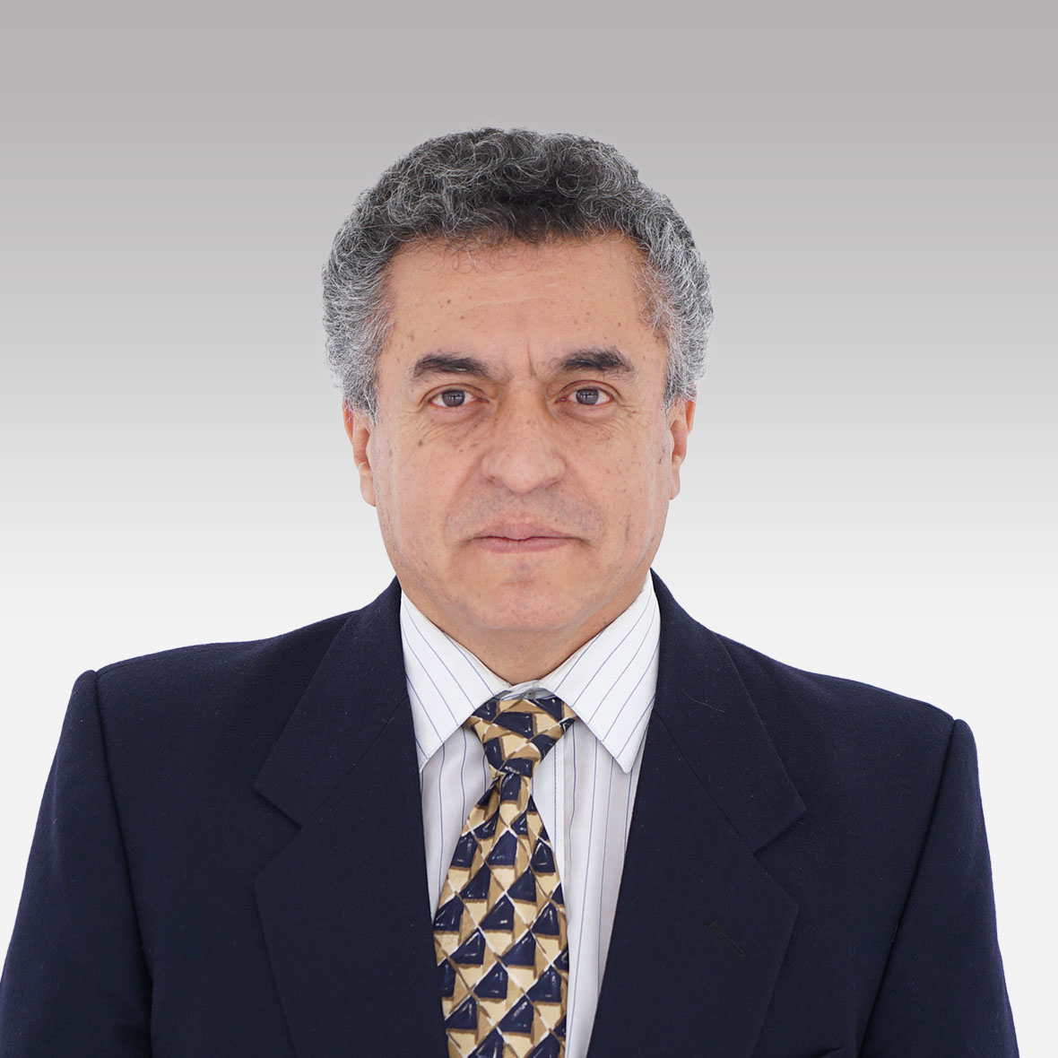 Ing. Araujo Pacheco Alcides Fabian, MSc.