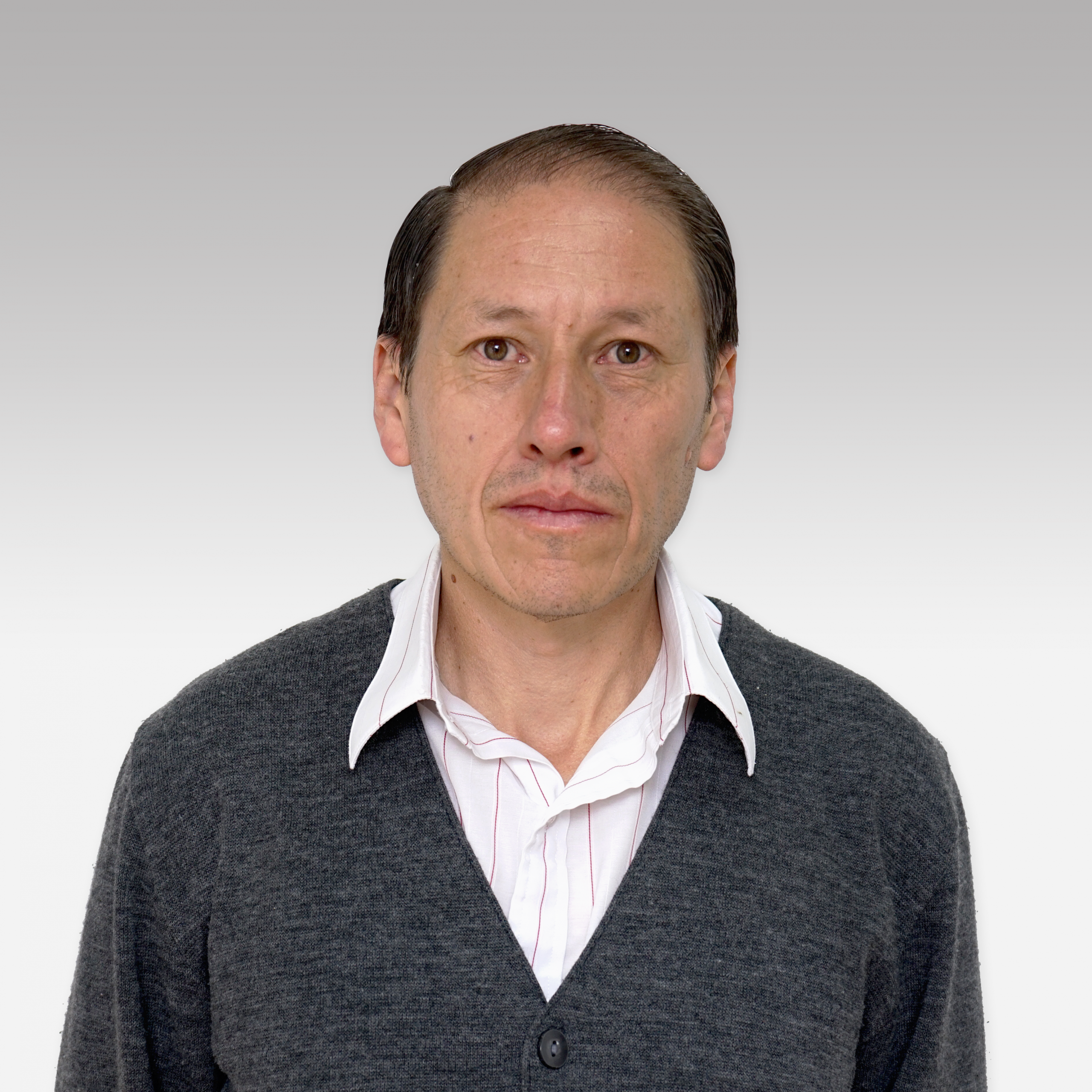 Ing. Estrella Maldonado Rene Gustavo, PhD.